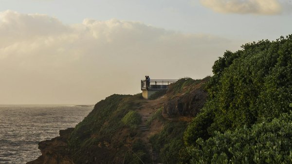 Wie können Kreuzfahrtschiffe die Meereslebewesen schützen?