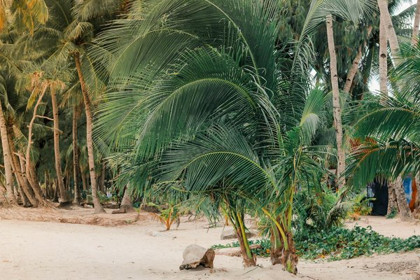 Wie kann man saisonale Schwankungen in der Ferienvermietung ausgleichen?